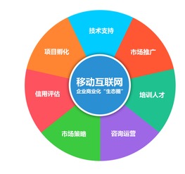 網(wǎng)絡(luò)技術(shù)驅(qū)動(dòng)下的App開(kāi)發(fā) 機(jī)遇與挑戰(zhàn)并存